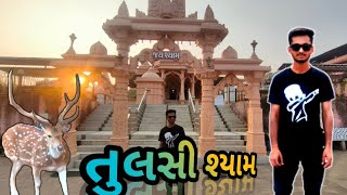 tulsi shyam mandir || ajju bhai una ||#tulshishyam #amaruuna tulsi shyam vlog