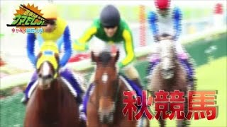 週末は・・・ウマでしょ！ 2016 秋競馬