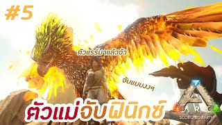 จับฟินิกส์แบบงงๆ | ARK survival evolved - part 5