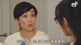 以和為貴 | 呢條友乜都會做，除咗善事！| 馬德鐘 | 徐子珊 | 李思捷 | 江美儀 |