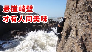 外岛悬崖壁上的昂贵“地狱海鲜”，用海水蒸白米味道赞不绝口