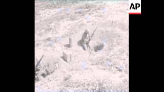 SYND 17-4-72 IRANIAN TROOPS IN DEFENSIVE POSITIONS ON THE IRAQI BORDER