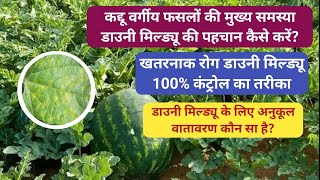 डाउनी मिल्ड्यू आपकी तरबूज-खरबूजे जैसी फसलों में समस्या है, तो ये विडियो आपके लिए @Krishimantra-Kp09