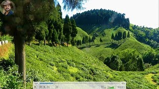 Thurbo ,Gopaldhara (Tea Garden) \u0026 Simana View Point Tour With Jasoprakas.