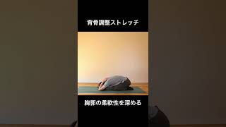 【背骨調整ストレッチ】　ヨーガ・ピラティス：ボディワーク #shorts