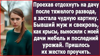 Проехав отдохнуть на дачу после тяжелого развода, я увидела, как муж и свекровь выносят мой урожай.