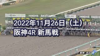 2022年11月26日（土）阪神4R 2歳新馬レース映像