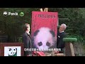 在美國聖迭戈動物園續寫大熊貓故事 | iPanda熊貓頻道