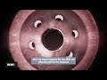 Redex Fuel Additives How they work