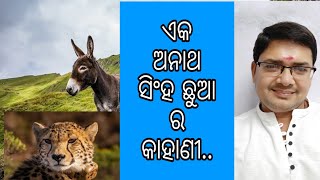 ଏକ ଅନାଥ ସିଂହ ଛୁଆ ର କାହାଣୀ ll odia motivational story ll Odia motivation.. MASTER OF ENGLISH