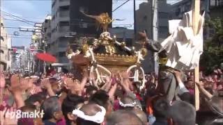 平成28年 鳥越神社例大祭（鳥越祭） 本社神輿渡御 二長町会