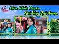 Liên Khúc Organ Không Lời Quê Hương | Tổng Hợp Girl xinh