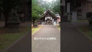 【神社参拝編】大谷地神社の階段登った先にある参道#階段