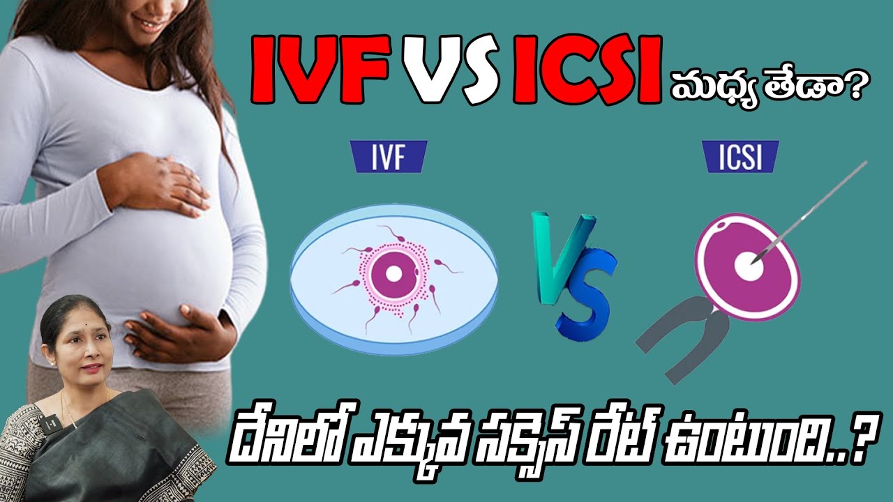 What Is The Difference Between ICSI And IVF | IVF And ICSI అంటే ఏంటి ...