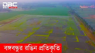 বিশ্বরেকর্ডের পথে ‘শস্যচিত্রে বঙ্গবন্ধু’