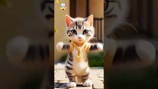 ❤😻🐾Cute kitten 💃cat dance#cat #lovecats #cats #catvideos #kittens #catlover #princesscat #kitten