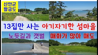 [백수발길 머무는곳에] 전남 신안 - 팔금도4 : 매도(노둣길, 매화, 노두, 우실, 팔금면, 시골마을, 섬마을, 신안갯벌), 철쭉공원(천사대교, 암태도, 팔금도)