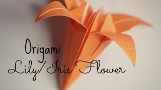 Origami Iris Flower Instructions