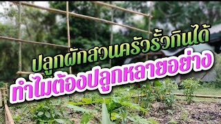 ปลูกผักสวนครัว|เพื่อให้ความสุข|สร้างแหล่งอาหารที่มั่นคง!? @อ้ายวัช