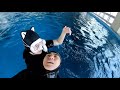 프리다이빙 ssi1레벨 레스큐 freediving rescue