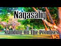 Nagasalig #hymns #praiseworship #songofpraise #bisayahymns #cebuanosongs