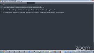 Socket programming using windows sockets winsock2