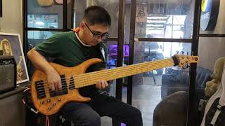 [BASS DEMO] MTD Kingston Z6 + Bartolini SINGULARITY pickups