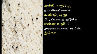 அரிசி, பருப்பு, தானியங்களில் வண்டு, புழு பிடிப்பதை தடுக்க என்ன வழி..? அருமையான டிப்ஸ் இதோ...