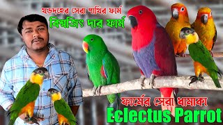 খড়দহের Exotic Bird এর বড় ফার্ম |পাখির সেরা ধামাকা | Eclectus Parrot,Sounconure,Gary parrot #birds