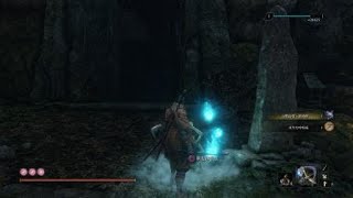 Sekiro™: Shadows Die Twice_幻影破戒僧　快速打法