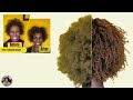 recession proof natural hair treatment the four naturals treatment