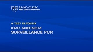 Test In Focus — KPC and NDM Surveillance PCR