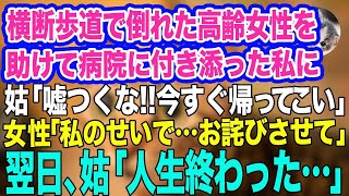 横断歩道で倒れた高齢女性を助けて病院に付き添った私に姑が激怒「嘘をつくな‼今すぐ帰って家事しろ」女性「私のせいで…」→帰宅した翌日、姑「人生終わった…」実はｗ【スカッとする話】