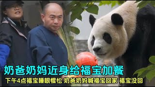 10月24日 徐奶爸休假，代班奶爸进场照顾福宝，是汪佳的奶爸#panda #푸바오 #fubao