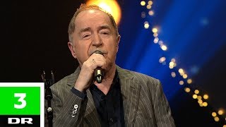 Niels Skousen - Vil du (LIVE) | Elsker dig for evigt | DR3