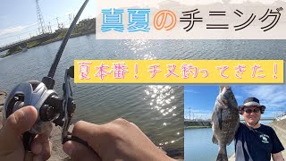 【チニング】真夏のチヌ釣り日記！トップ・カニ・フリーリグしたけどとりあえず釣れた【姫路河川】