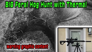 Hunting Down Invasive Pigs With Thermal Scope | Massive Destruction with 308win