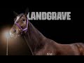 Landgrave | Shares Promo | David & Emma-Lee Browne