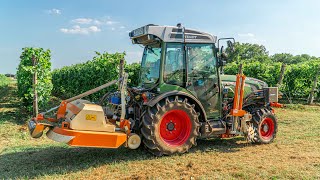 Fendt 211 V + Braun VPA (Vineyard Pilot Assistant) | Tour 2020 🍇