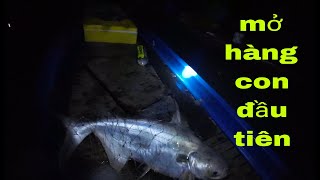 @Tâm67vlog_ Trở lại điểm câu Thành Phố Châu Đốc câu cá Vồ Đém xem sao #fishing