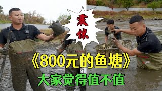 花800包下壹個別人不要的魚塘，大家覺得值不值？#三農 #戶外#農村生活#小飛哥#抓魚vlog