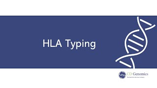 HLA Typing: Key Types, Testing Methods, and Transplant Significance