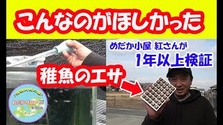 第104回 【メダカ稚魚を大きく育てるエサ】vol.1