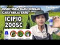 incipio 200sc Insektisida terbaru untuk Penggerek batang padi, Sygenta..