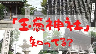 南あわじ市阿万地区にある「玉葱神社」は、「亀岡八幡神社」内にあります。素敵な神社です♡