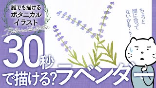 かんたんイラストこうざ イルカ のかきかた うみ の いきもの かんたんイラストこうざ イルカ のかきかた うみ の いきもの