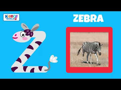 Which animal appears first in the alphabet?