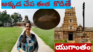 Sri Soumyanatha Swamy Temple, Nandalur || Famous and Mysterious Temple in Kadapa ||baruus world