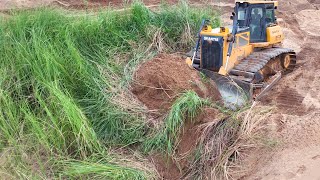 The Amazing Srong Bulldozer SHANTUI Push Soil Sand And Clearing Land With Fores Tree