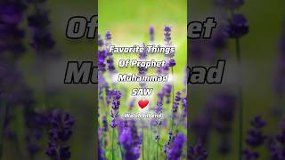 Favorite Things of Prophet Muhammad SAW | The Side of QURAN #trending #islamic #islamicvideo